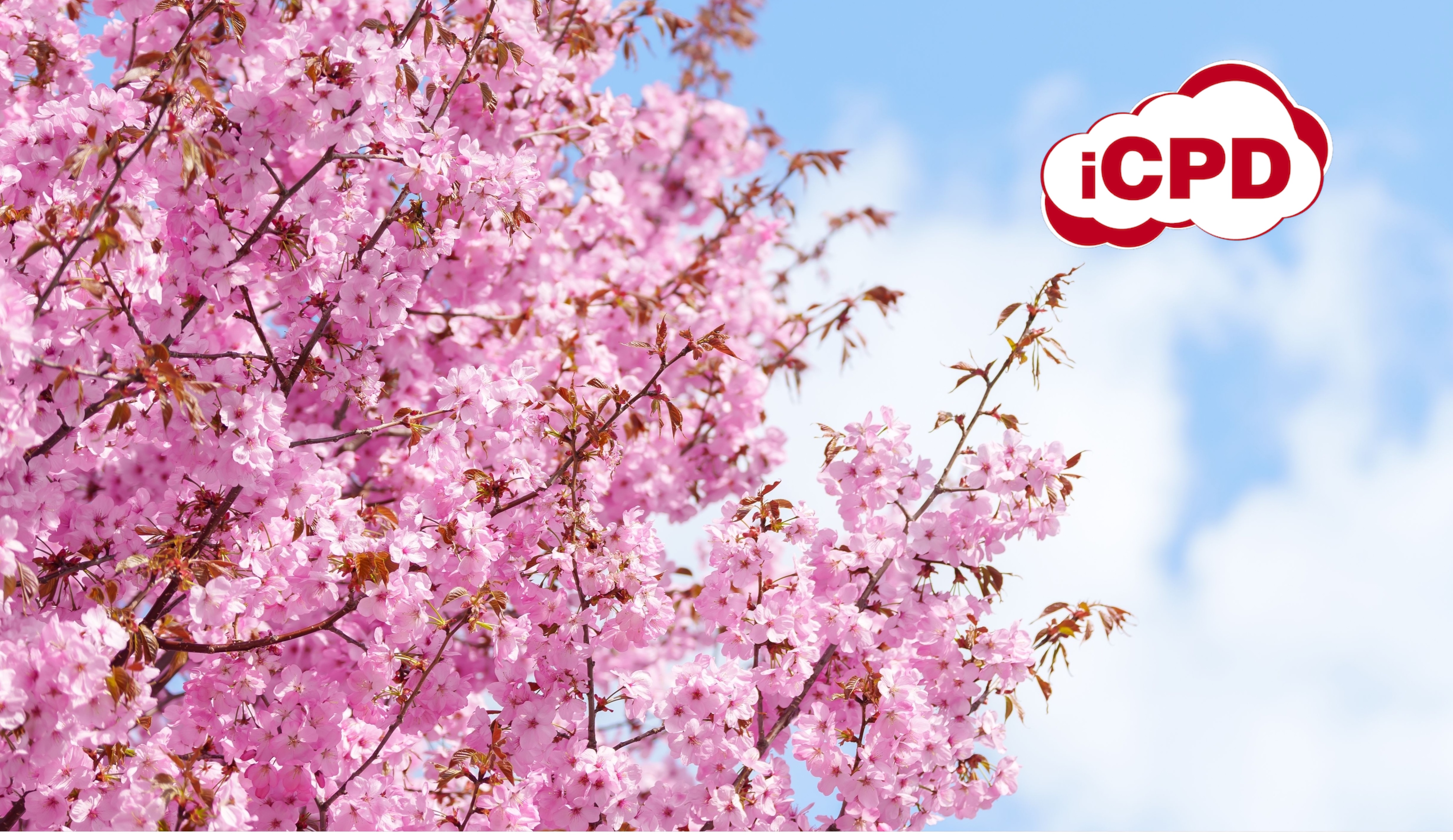 2026 Spring Savings Full Programme